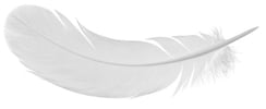 large-white-feather.jpg